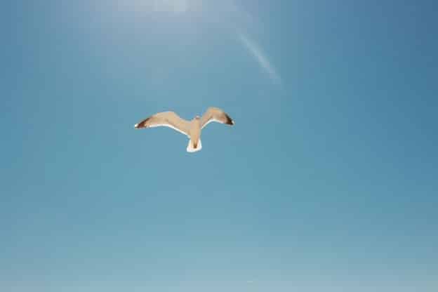 Freedom with a Controlling Personality