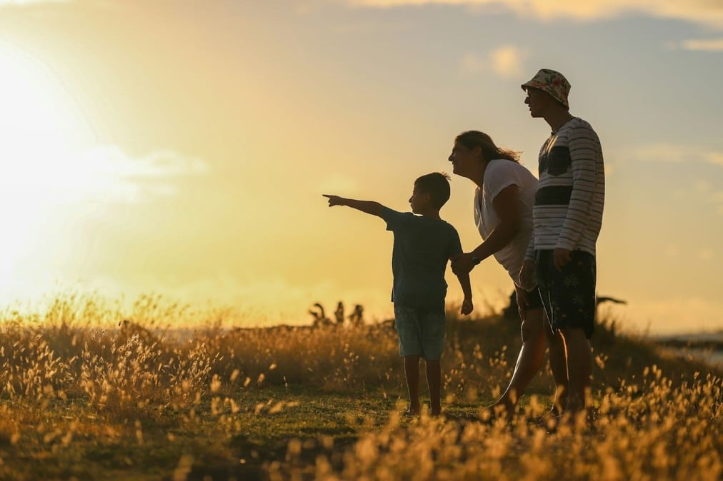 Blended Family Facts