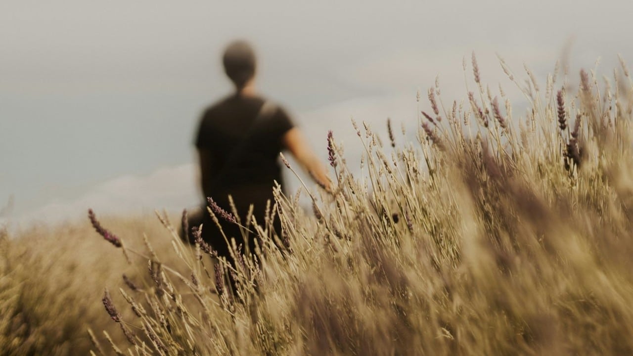 What Does the Bible Say About Unforgiveness? Verses, Meaning, and Overcoming Bitterness